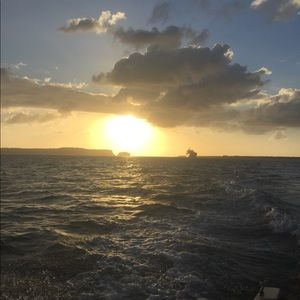 Meet your Posher, Wayne